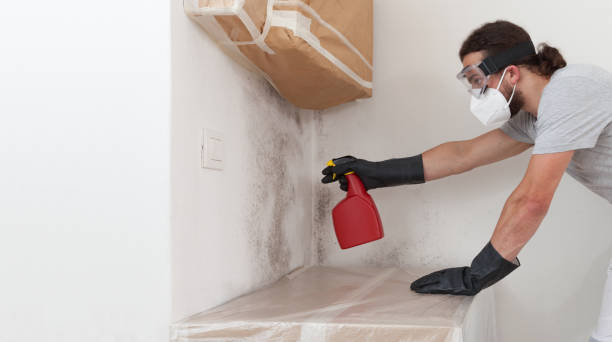 Professional Basement Mold Remediation technician working in Riverside, NY